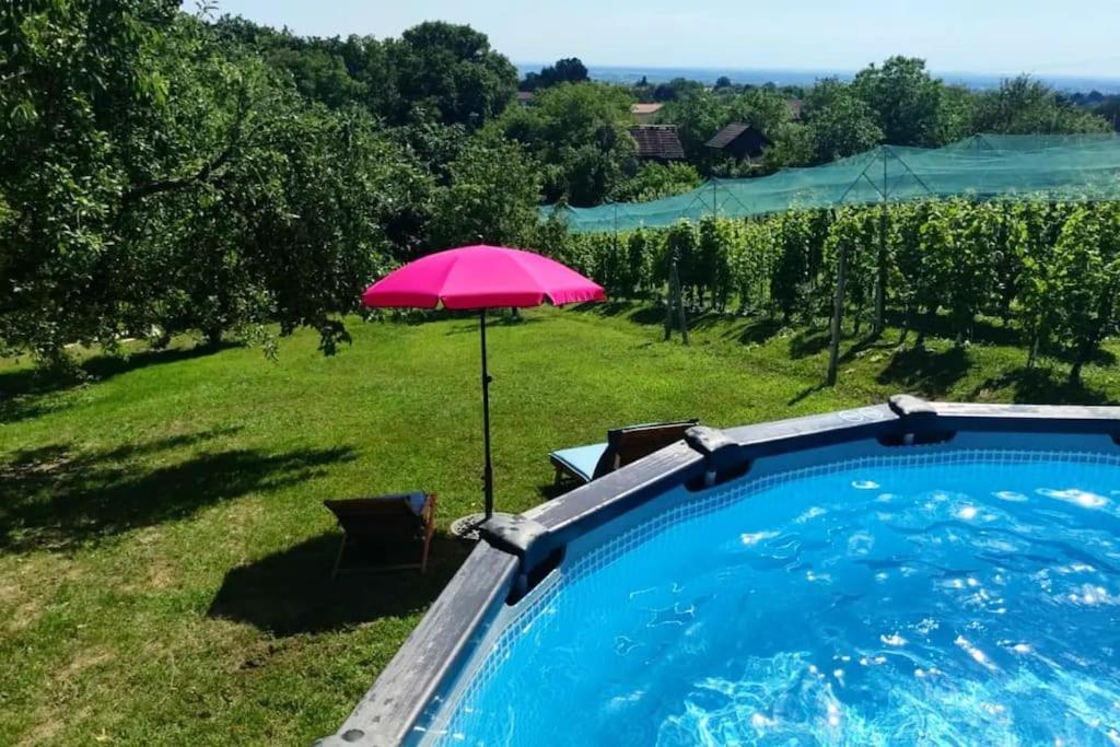 Kuca Za Odmor Villa Cesarica - Zagreb Graberje Ivanićko エクステリア 写真